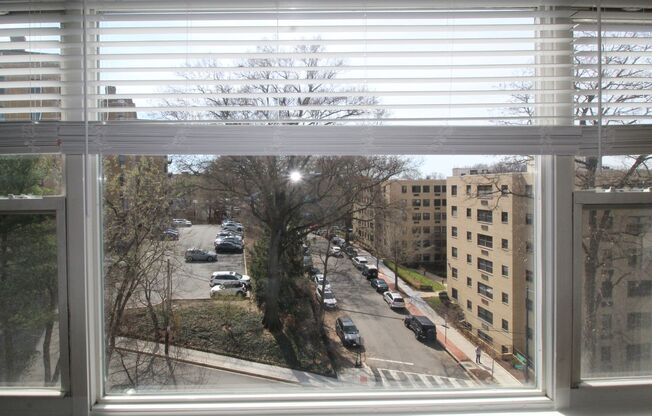 Studio, 1 bath, 389 sqft, $1,840, Unit 1845-711