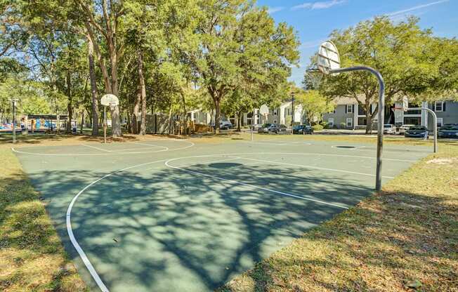 Chelsea Apartments in Gainesville Florida photo of basketball court