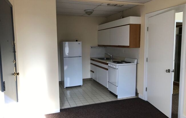 1 bed, 1 bath, 420 sqft, $1,095, Unit 415