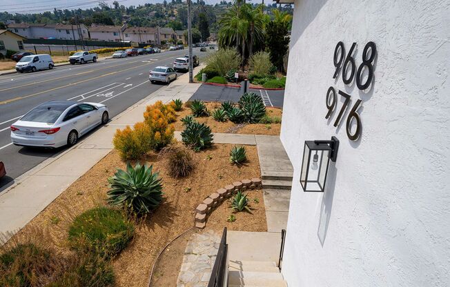 Lone Palm Terrace