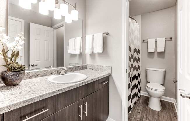 a bathroom with a toilet and a sink and a mirror