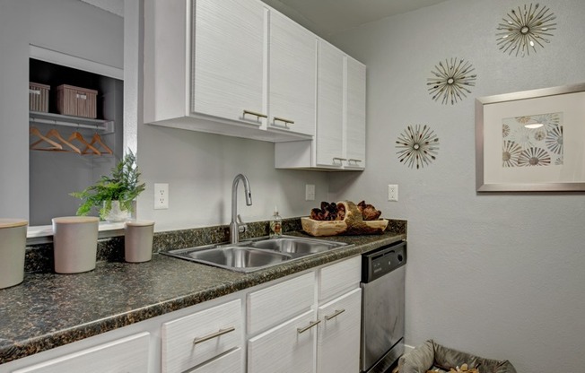 Elegant Kitchen | Apartments For Rent In Aurora Co | The Grove at City Center