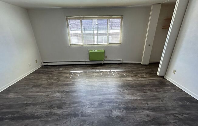 Studio, 1 bath, $750, Unit 205