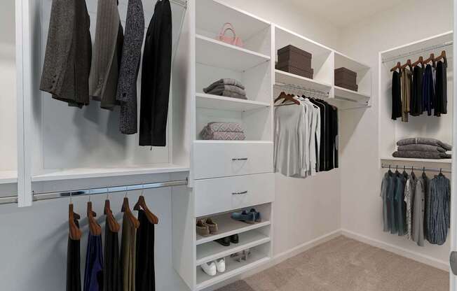 A walk in closet with clothes hanging and shelves.