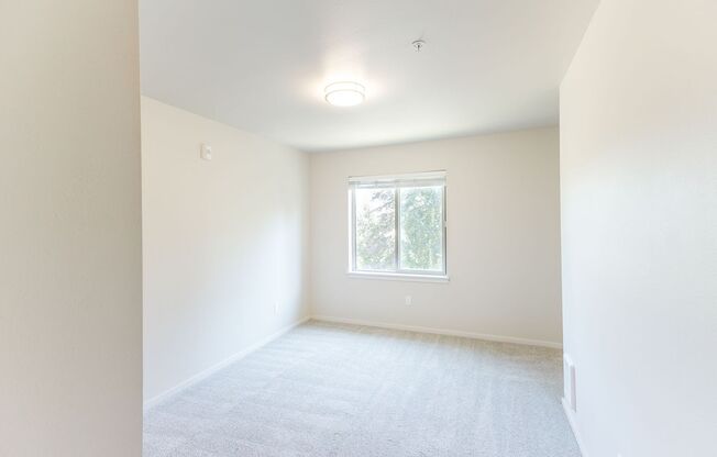 1 bed, 1 bath, 500 sqft, $1,430, Unit S-245