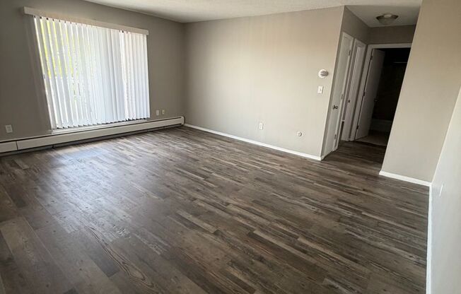 1 bed, 1 bath, $999, Unit 1061303