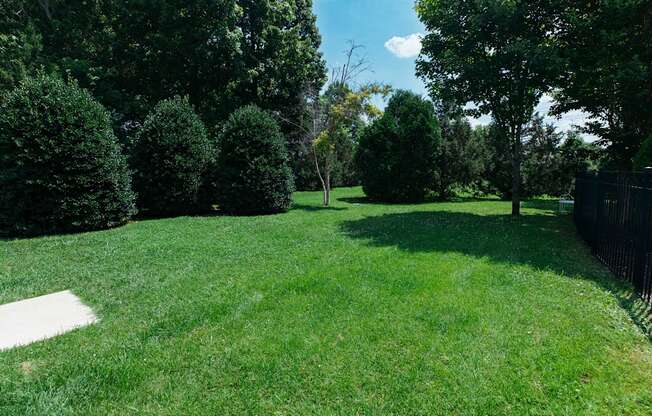 A lush green lawn with trees and a fence.