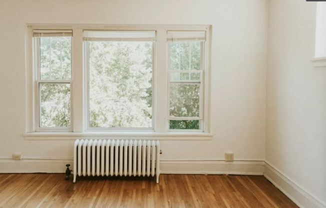 1 bed, 1 bath, 560 sqft, $885