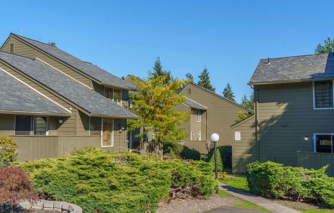 530-Elmwood Village
