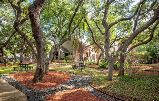 A tree-lined courtyard with a bench and a building in the background.