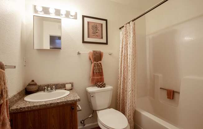 Bathroom at Tierra Pointe Apartments in Albuquerque NM October 2020
