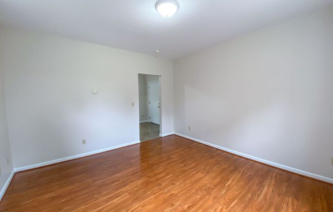 1 bed, 1 bath, $1,250, Unit 201
