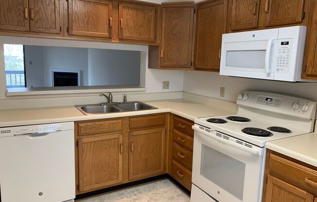 1 Bedroom Condo in Lake Vista