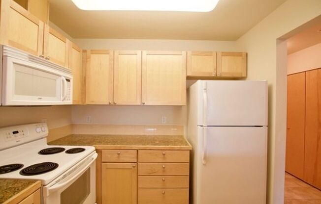 Studio, 1 bath, 510 sqft, $1,495, Unit 206