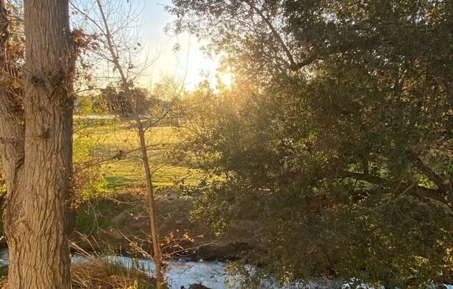 Beautifully Renovated 3+2 Creekside Condo in Calabasas