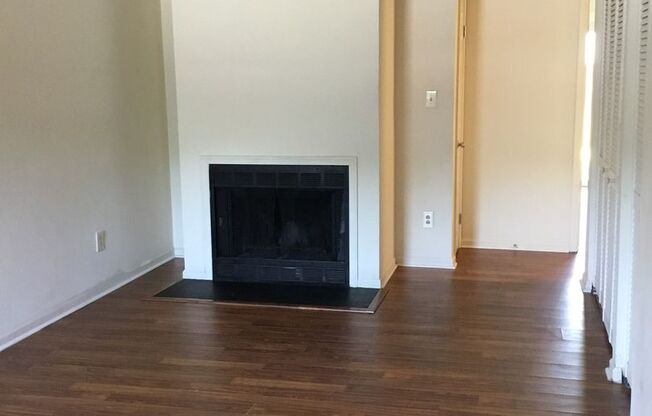 1 bed, 1 bath, $1,300