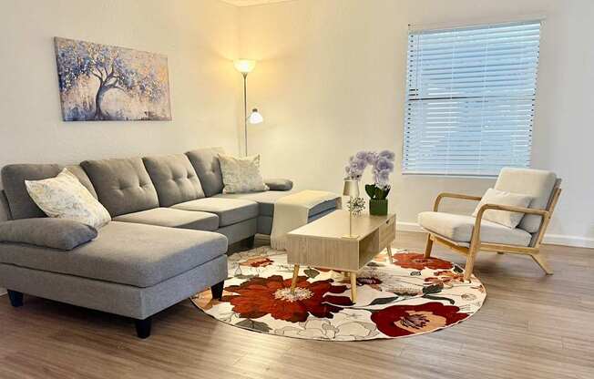A grey couch with pillows sits in a living room with a rug and a chair.