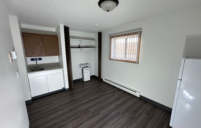 Studio, 1 bath, 275 sqft, $550, Unit 103