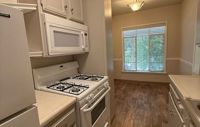 1 bed, 1 bath, $1,600, Unit 12
