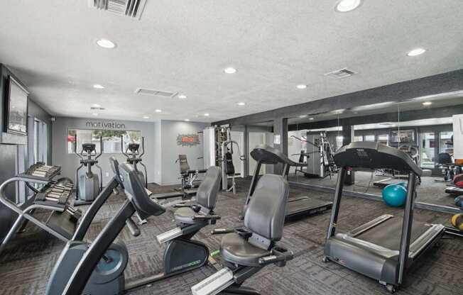 A gym with a variety of equipment including treadmills, stationary bikes, and weight machines.