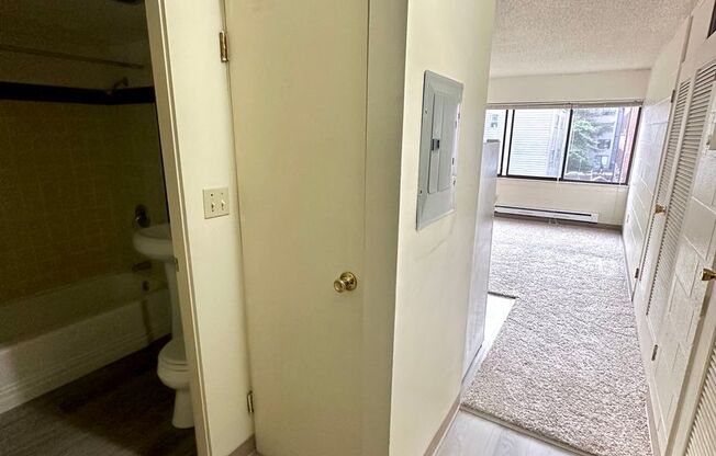 Studio, 1 bath, 302 sqft, $1,100, Unit 302
