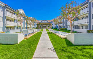 a grassy area with benches and trees in front of a building