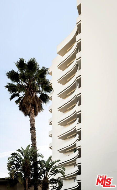 1 bed, 1 bath, 981 sqft, $3,250, Unit 101