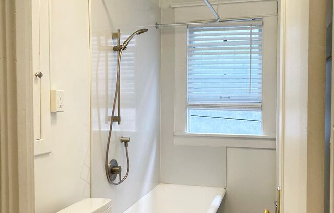 Studio, 1 bath, 335 sqft, $1,895, Unit Unit 310 (furnished)