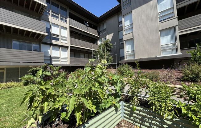 Modern Peninsula Living Across from Carlmont Village