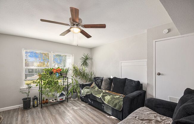 Fully Renovated 2 bed 1 bath in Grand Prairie!