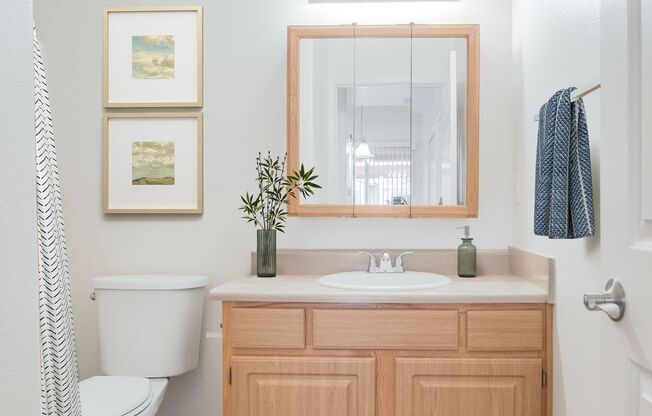 a bathroom with a sink and a toilet and a mirror