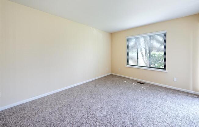 an empty bedroom with a window and carpet