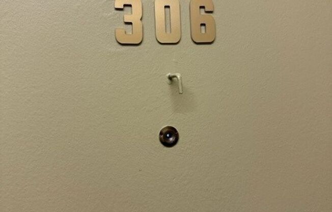 Studio, 1 bath, 348 sqft, $1,197, Unit 306B