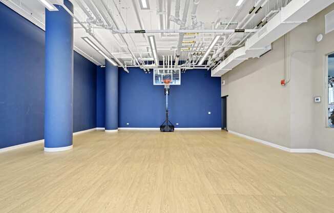 a large room with a hard wood floor and blue walls