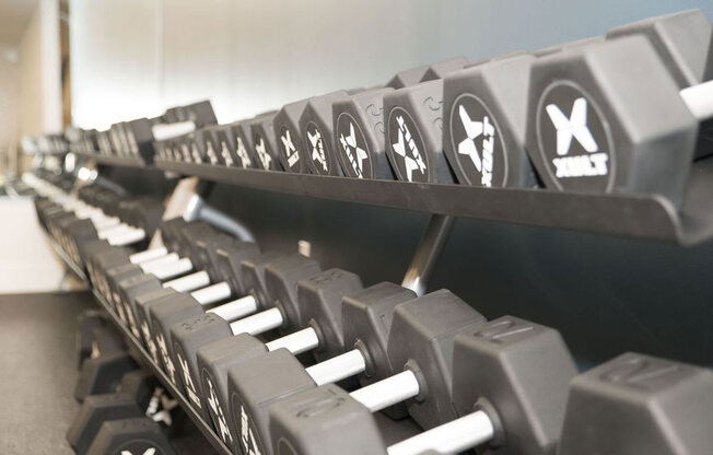 Dumbbells at The Whit Apartments, Indiana, 46204