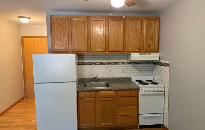 Studio, 1 bath, 350 sqft, $1,100, Unit Unit 309