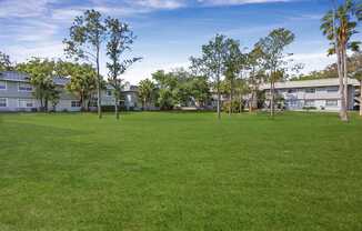A grassy field with trees and buildings in the background.