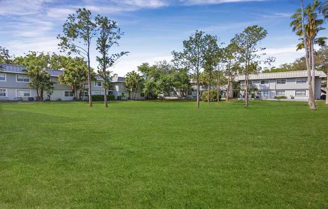A grassy field with trees and buildings in the background.