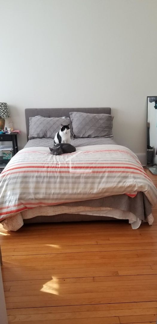 8 Bellvista Rd #4D Boston MA 02135