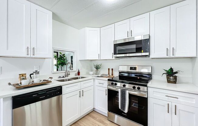 Gorgeous fully remodeled 2-Bedroom, 2 Bath home 55+