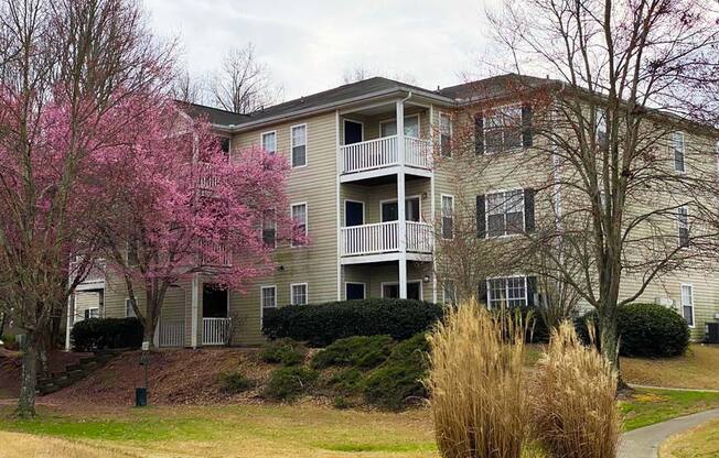 an apartment building with a pink flowering tree
