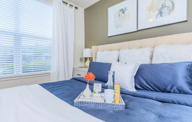 a bedroom with a bed and a blue blanket