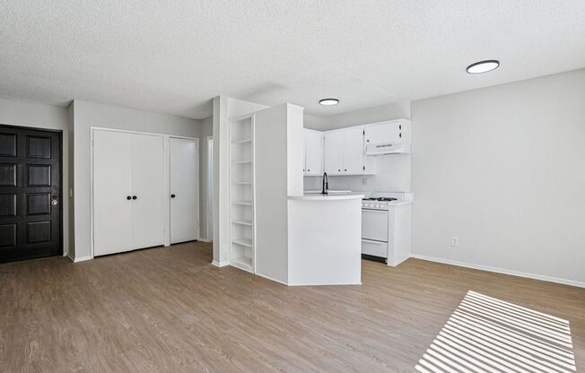Studio, 1 bath, 495 sqft, $1,421, Unit 213