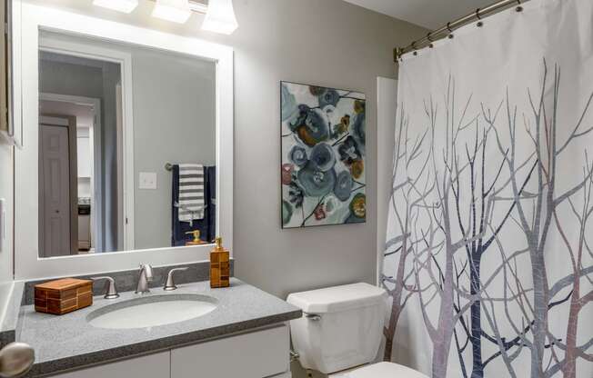 a bathroom with a sink and a mirror and a shower curtain