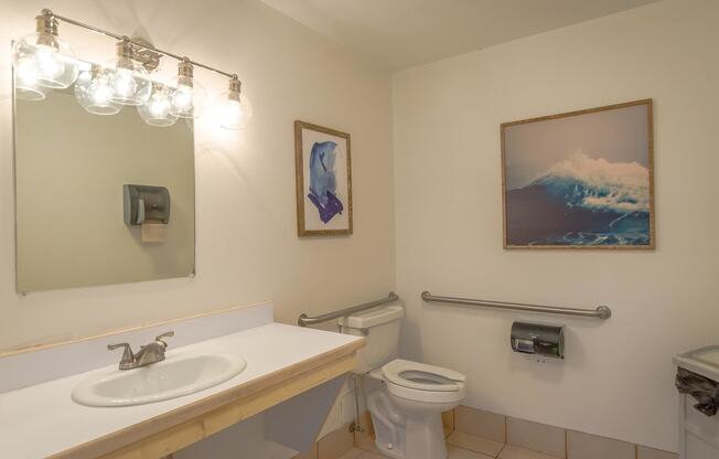 a bathroom with a sink and a toilet and a mirror