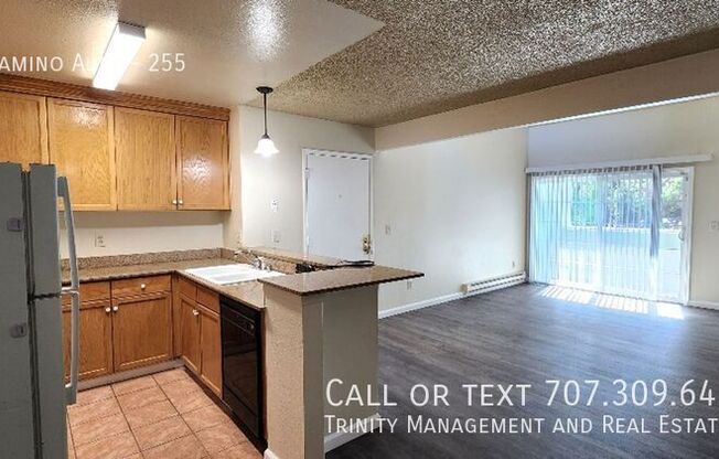 1333 N ALTO # 171 BLDG CAMINO