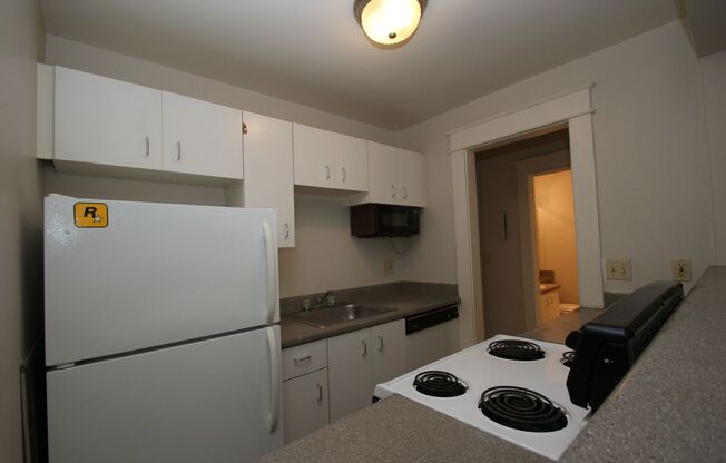 Studio, 1 bath, 405 sqft, $1,195, Unit 202