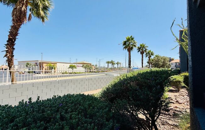1 bed, 1 bath, $1,300, Unit # 1034