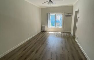 Studio, 1 bath, 350 sqft, $1,500, Unit 207