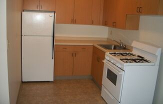 1 bed, 1 bath, 450 sqft, $746, Unit 1000-010